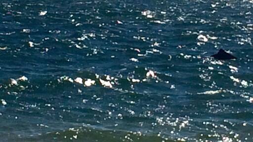 View from the beach, Amity Point, Stradbroke island. #amity #stradbroke #queensland #australia