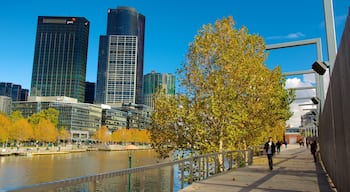 Southbank mettant en vedette riviĂšre ou ruisseau, gratte-ciel et cbd