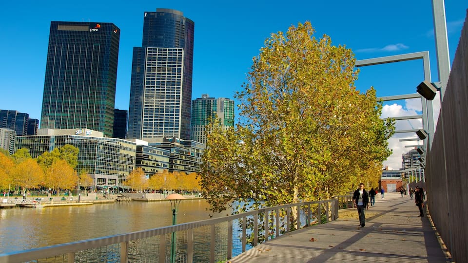 Un paseo junto al río con edificios modernos, un árbol con hojas otoñales y un cielo azul despejado.