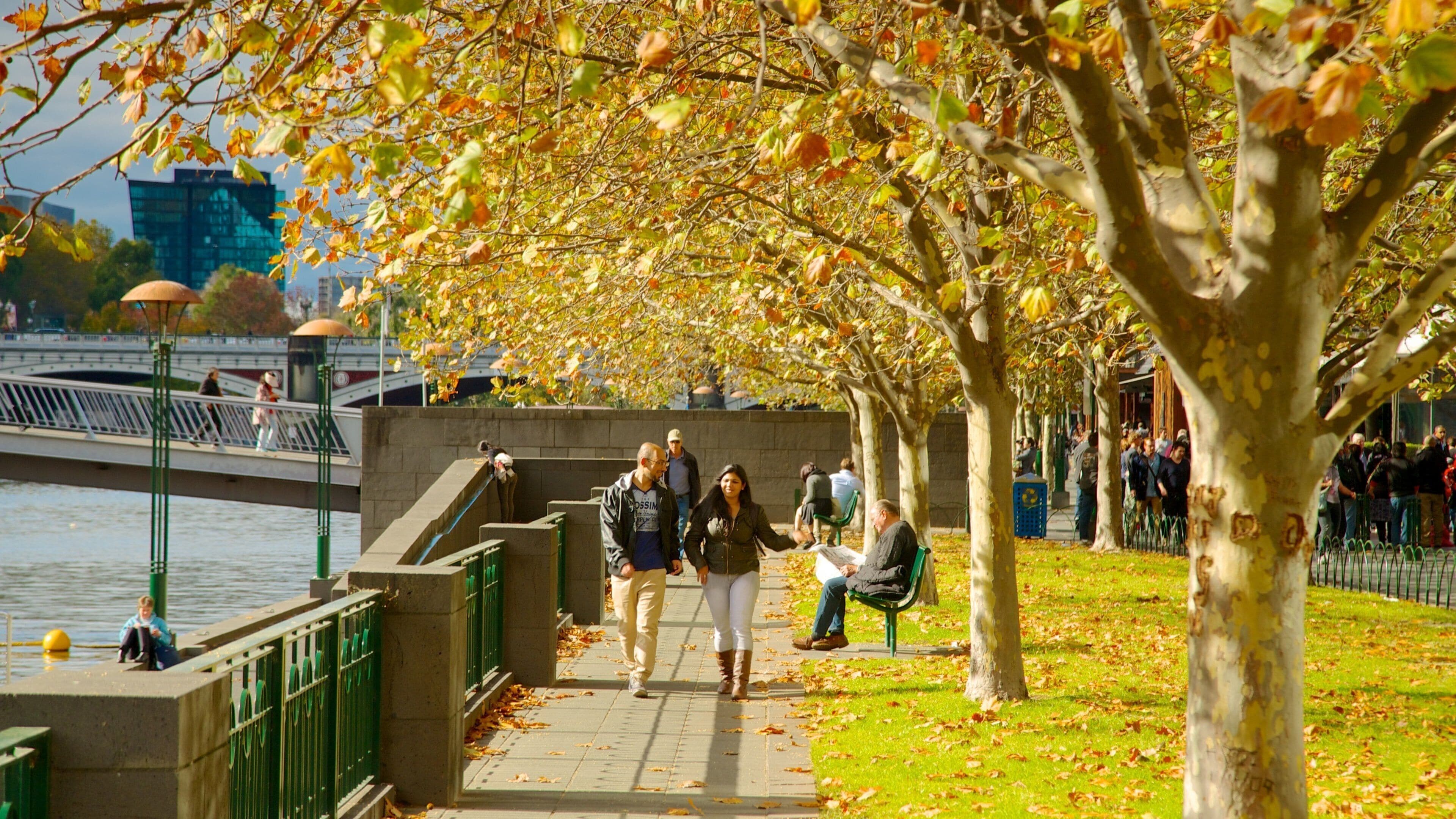 Southbank showing fall colors and a city as well as a couple