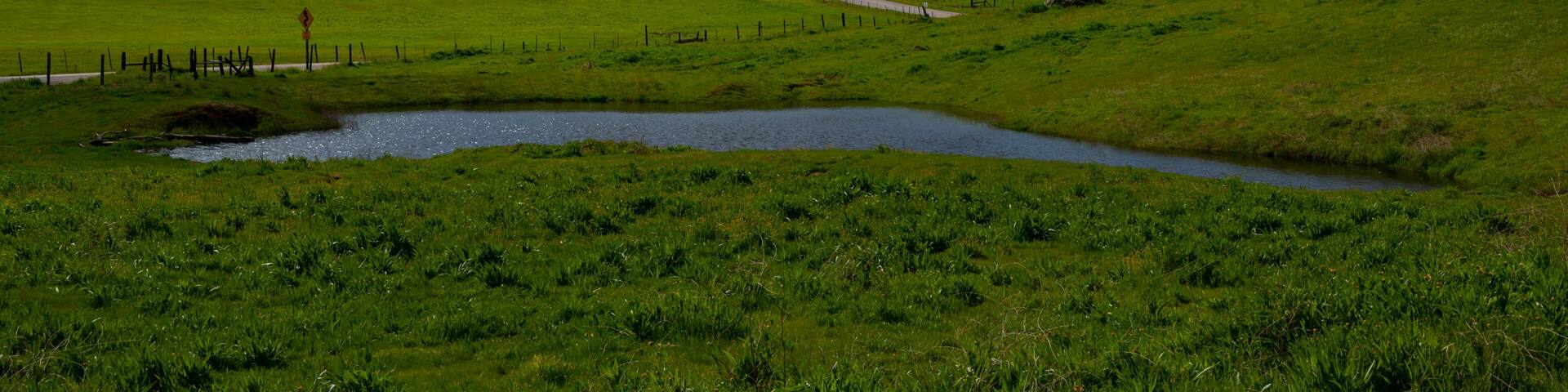 Rural Landscape near Exeter, Tulare County, California