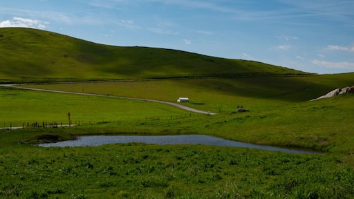 Rural Landscape near Exeter, Tulare County, California