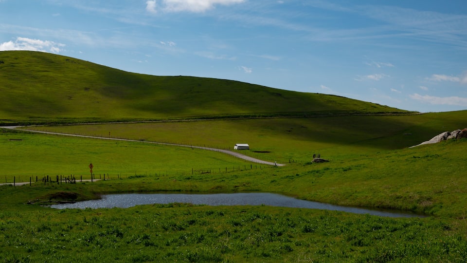 A green valley with a white barn, a small pond, and a fenced road.
