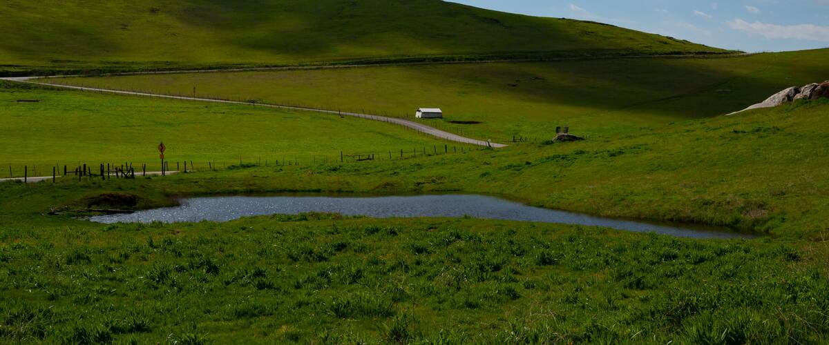 A green valley with a white barn, a small pond, and a fenced road.