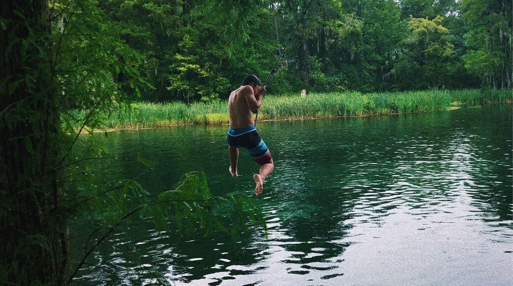 This is definitely one of the most unique parts of Florida. The clear blue waters and absence of gators make this place an awesome swimming spot year round! #aqyatrove