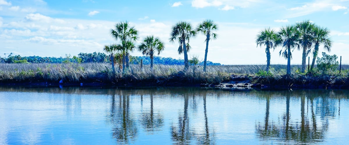 Florida Hernando beach and swamp