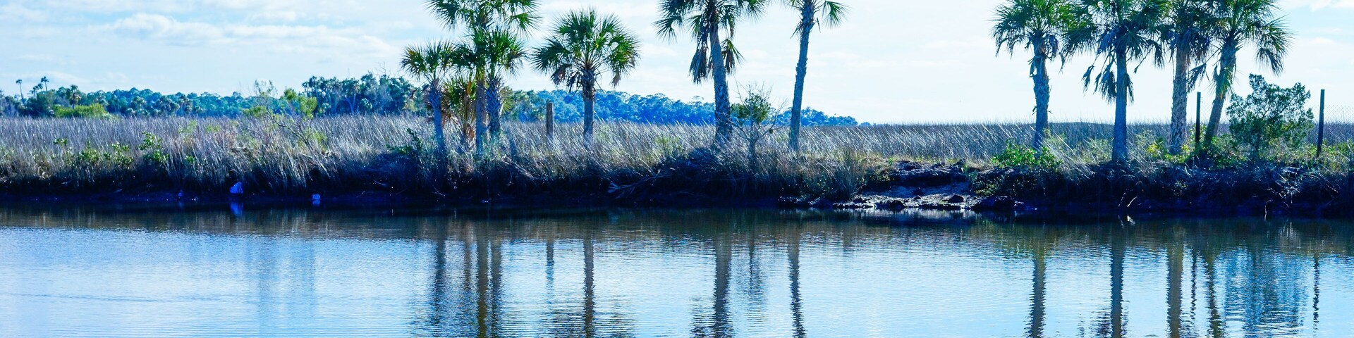 A calm lake with reflections of palm trees and a clear sky.