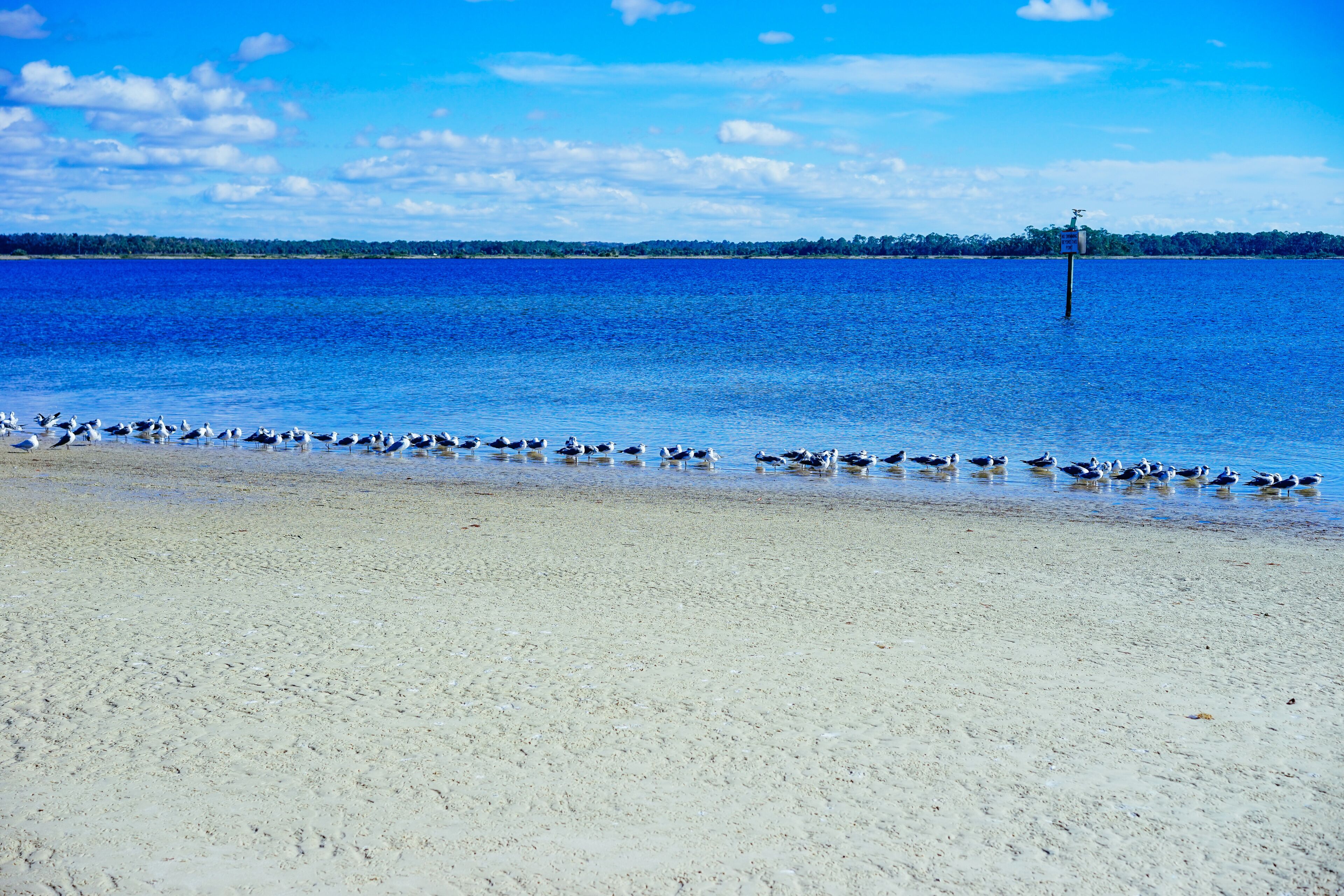 Florida Hernando beach landscape