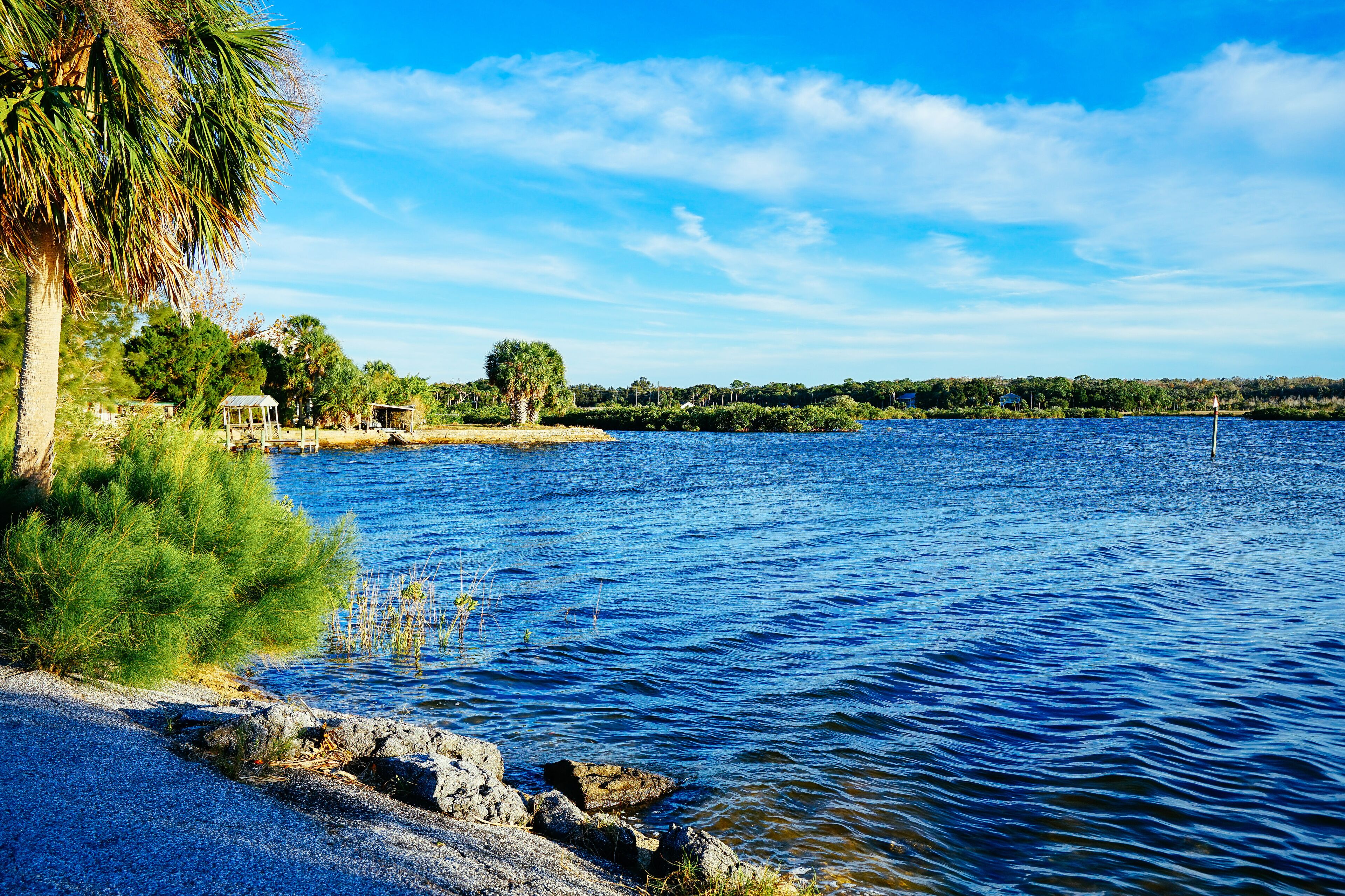 Florida Hernando beach landscape