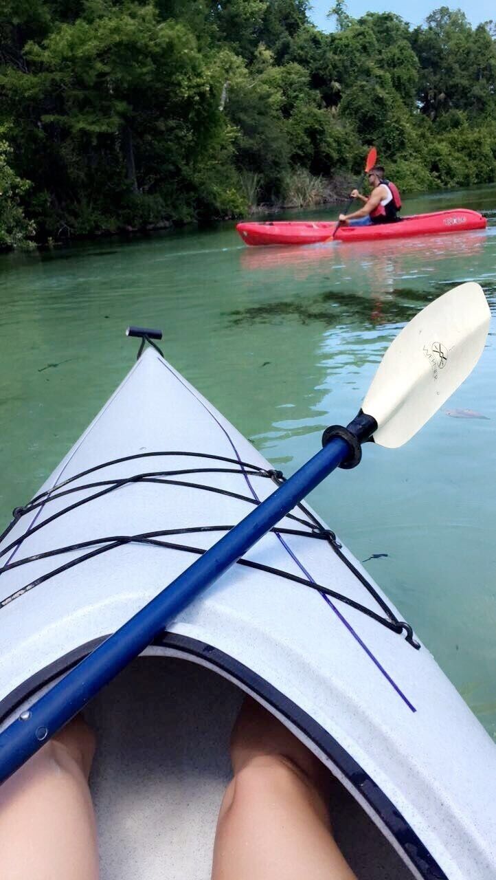 Kayaking down the river... manatees, alligators, otters, fish and several different bird species.  Always a good time.  