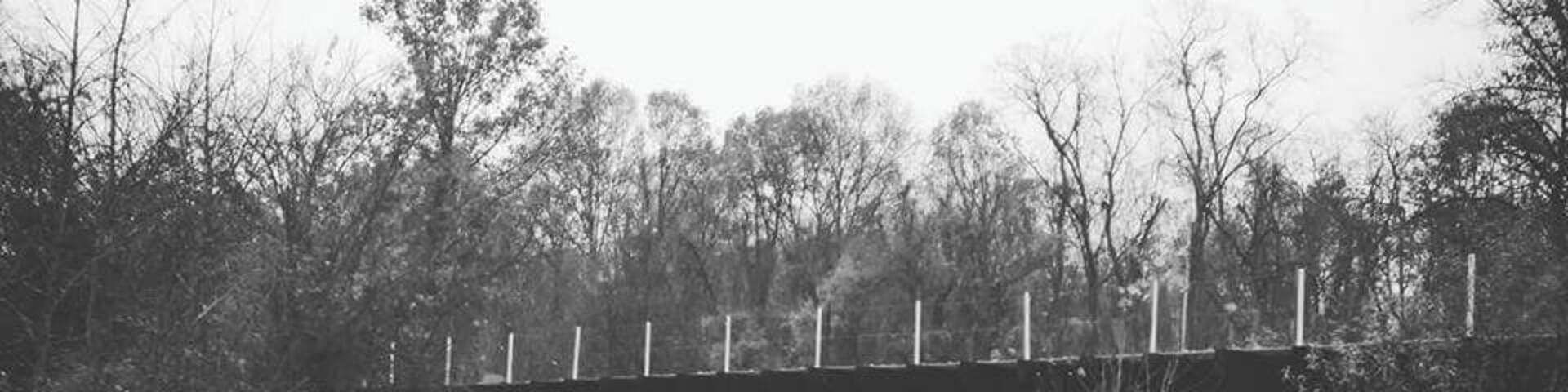 Found
In Lewisport Kentucky along River Road
.