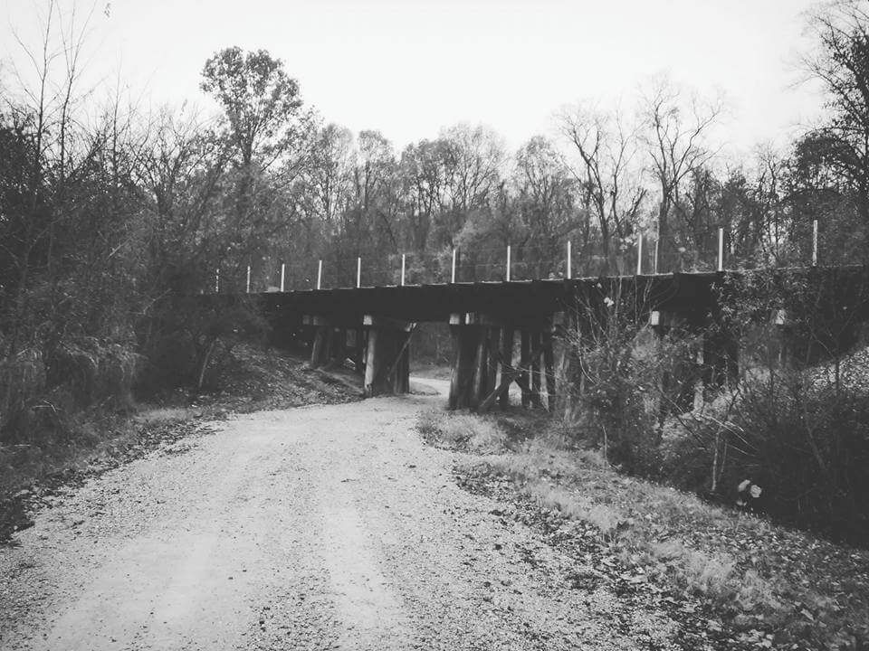 A gravel road under a wooden bridge surrounded by trees.