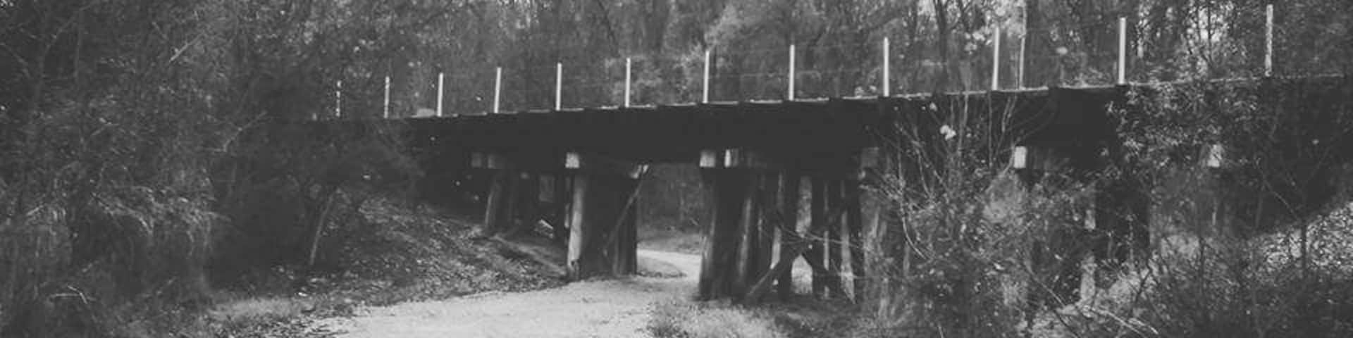 A gravel road under a wooden bridge surrounded by trees.