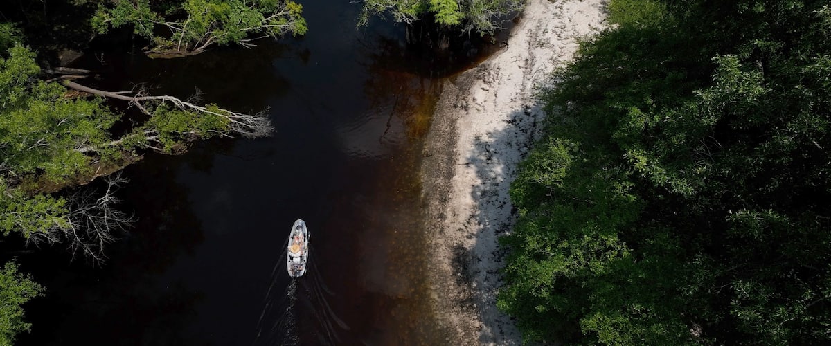 Fisherman on boat traveling on beautiful Black River past green forest and sandy river bank in South Carolina Low Country near Kingstree, SC