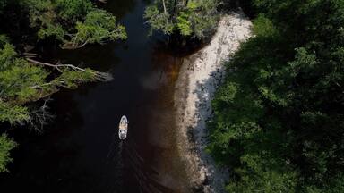 Fisherman on boat traveling on beautiful Black River past green forest and sandy river bank in South Carolina Low Country near Kingstree, SC