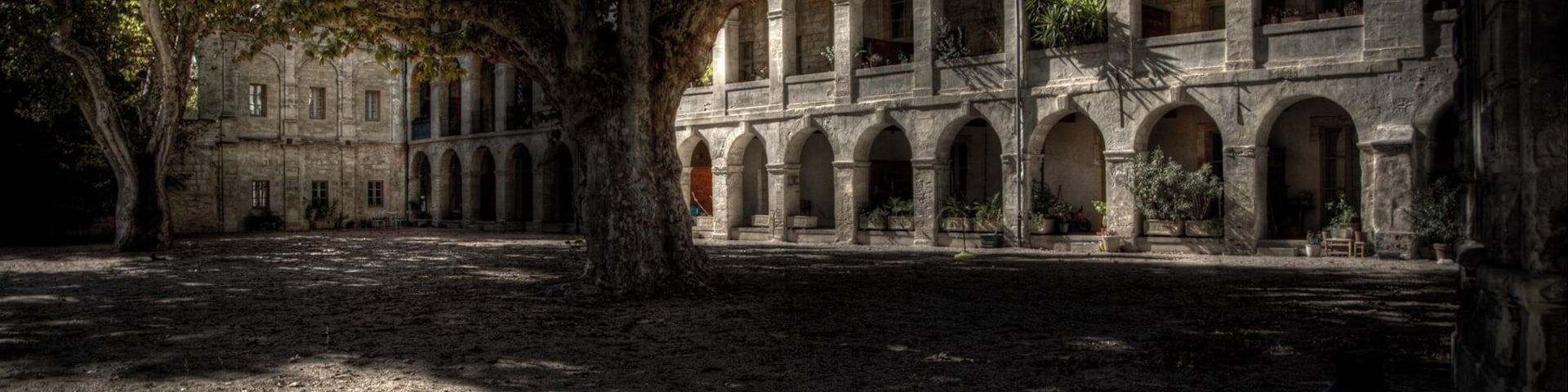 Leafy, tranquil, the old Ecole Beaux Artes, now , upmarket apartments. Avignon.
#Culture