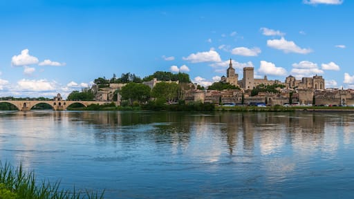Panorama of Avignon with the Saint Benezet bridge over the Rhone river, in Vaucluse, in Provence, France