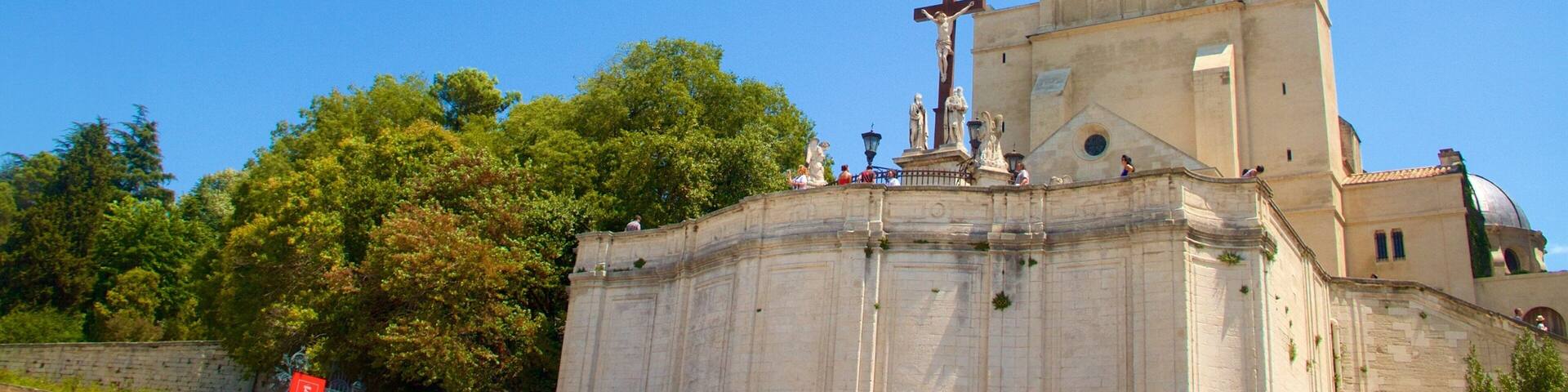 Avignon montrant patrimoine historique, église ou cathédrale et patrimoine architectural