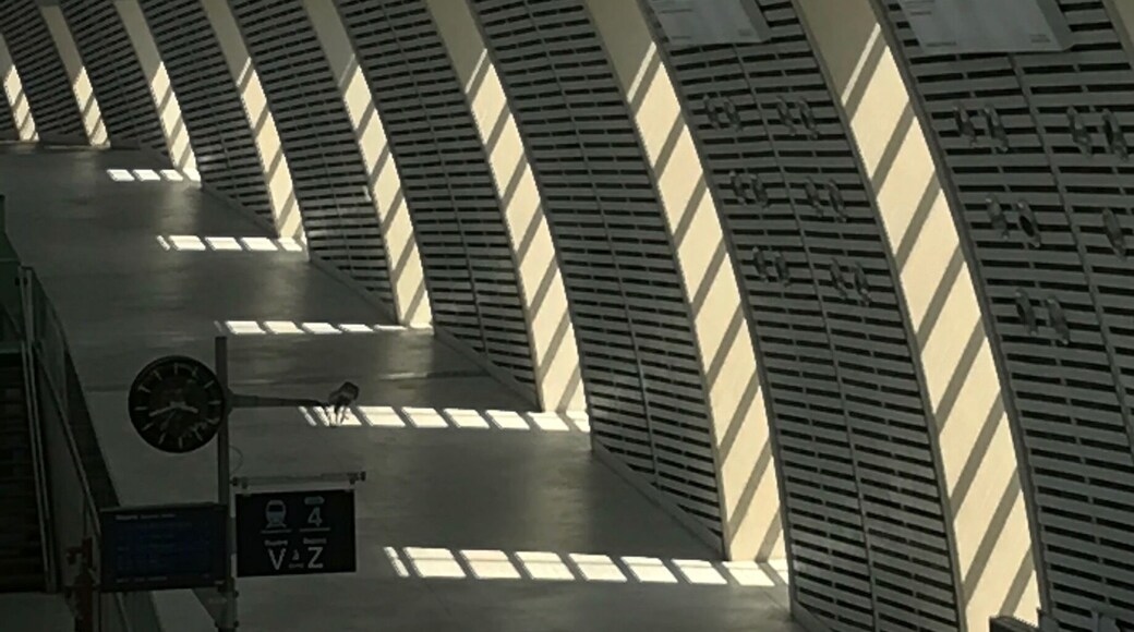 The train station at Avignon really is gorgeous from an architectural stand point. Well worth arriving a few minutes early for your train to wonder and explore. #sunlight #patterns #lifeatexpedia