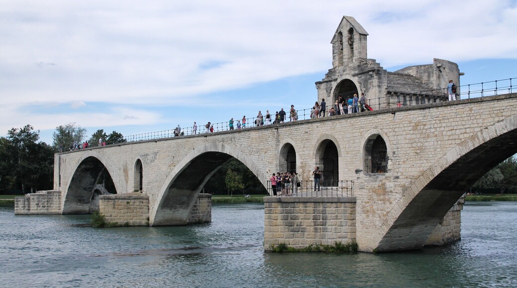 By the famous Pont d'Avignon