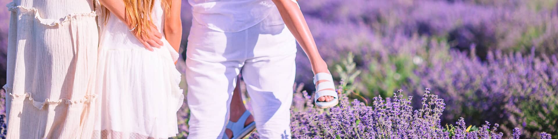 Family in lavender flowers field at sunset in white dress and hat