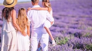Family in lavender flowers field at sunset in white dress and hat