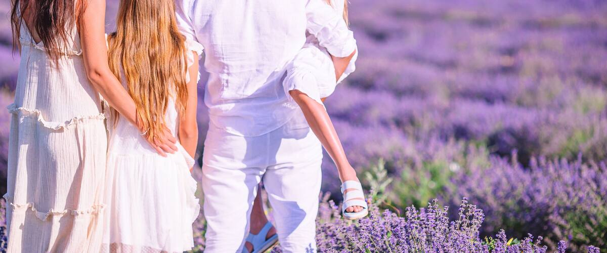 A family of four in a lavender field.
