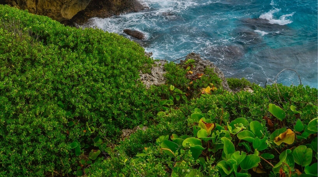 Marbo Cliffs, Guam #Beachtips