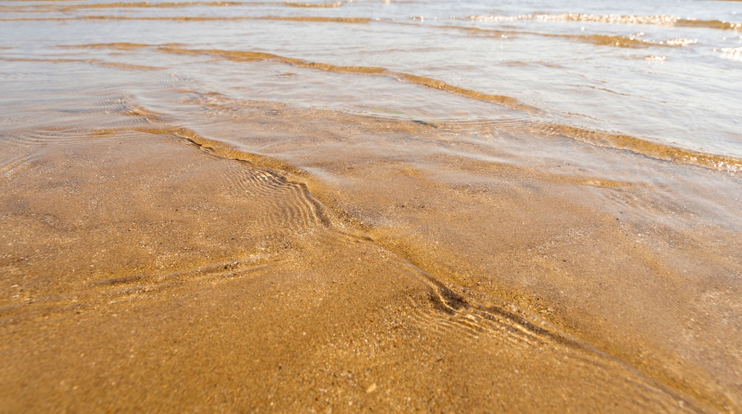 Panoramic views of the sandy beach, mountains the island of Evia on Liani Ammos beach in Halkida, Greece on a Sunny summer day