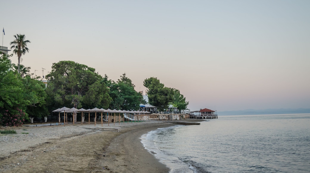 Evia island, Greece - June 28. 2020: Sandy beach in the morning on the island of Evia, Greece