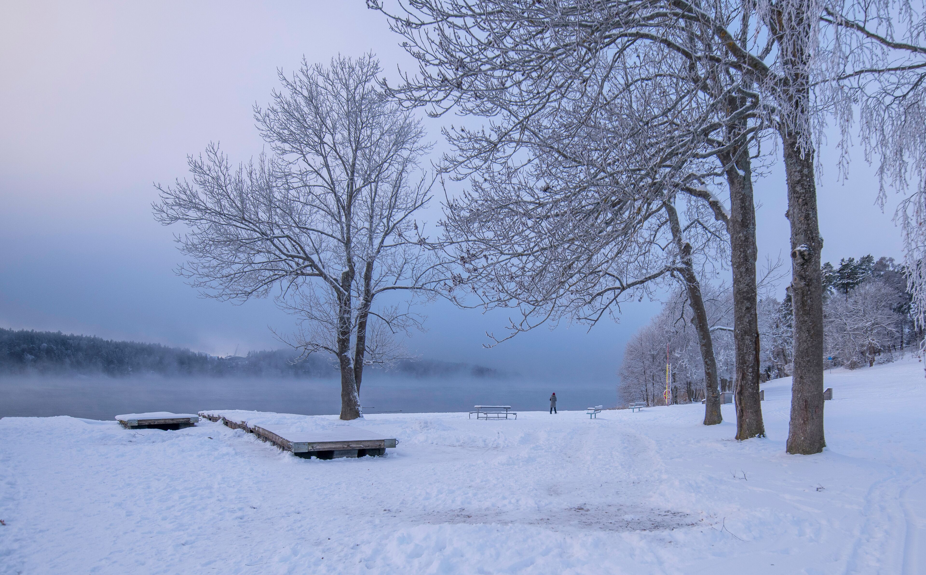 Smoke, fog, over the lake Mälaren at a beach, frost on trees and snow in the Stockholm district Bromma