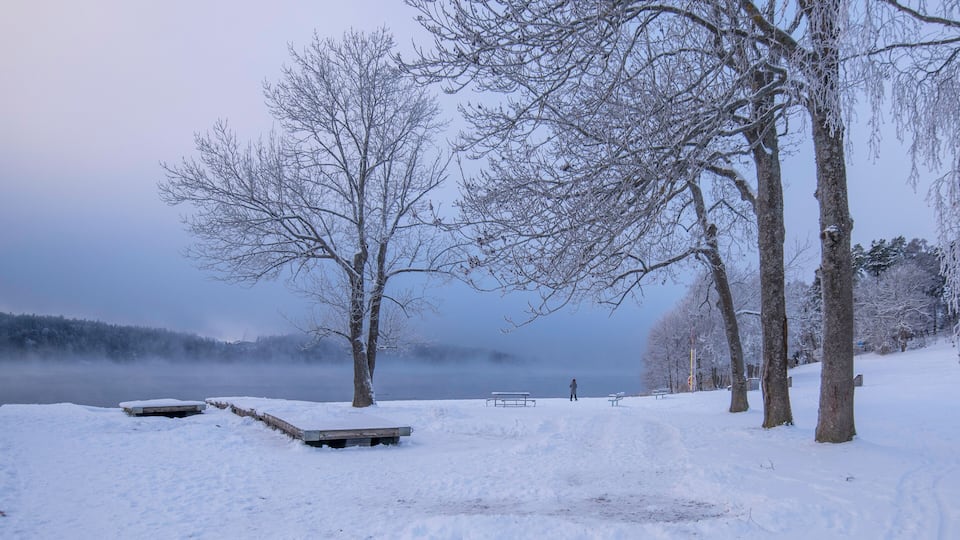A snow-covered park with benches and trees.