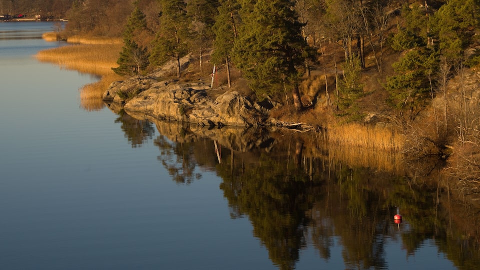 A calm lake with reflections of trees and a red buoy.