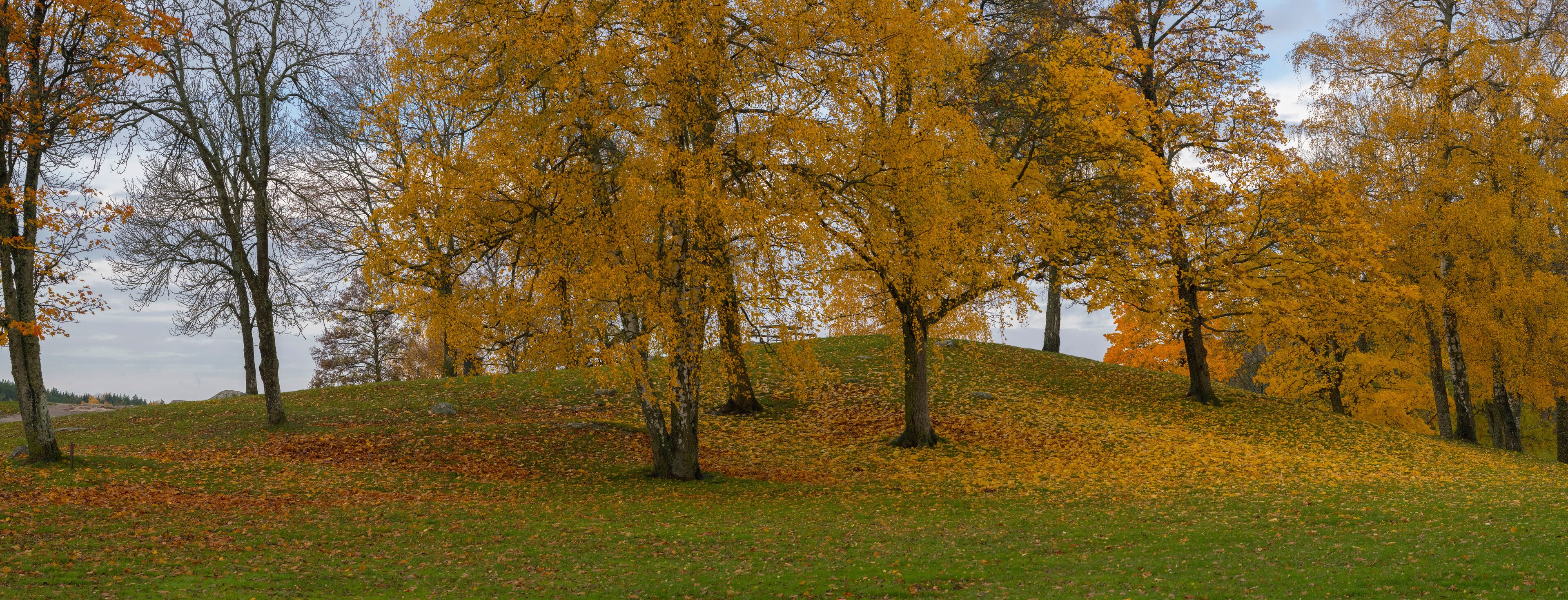 A hillside with trees displaying autumn foliage, a grassy foreground, and a cloudy sky.