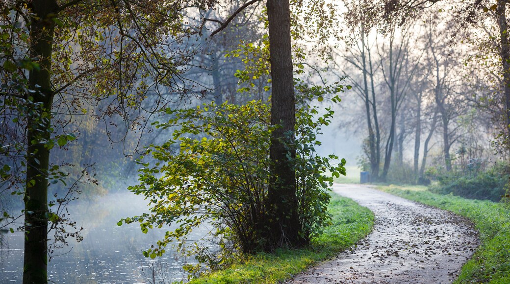 Winding footpath along a small river in autumn