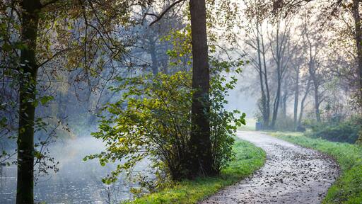 Winding footpath along a small river in autumn