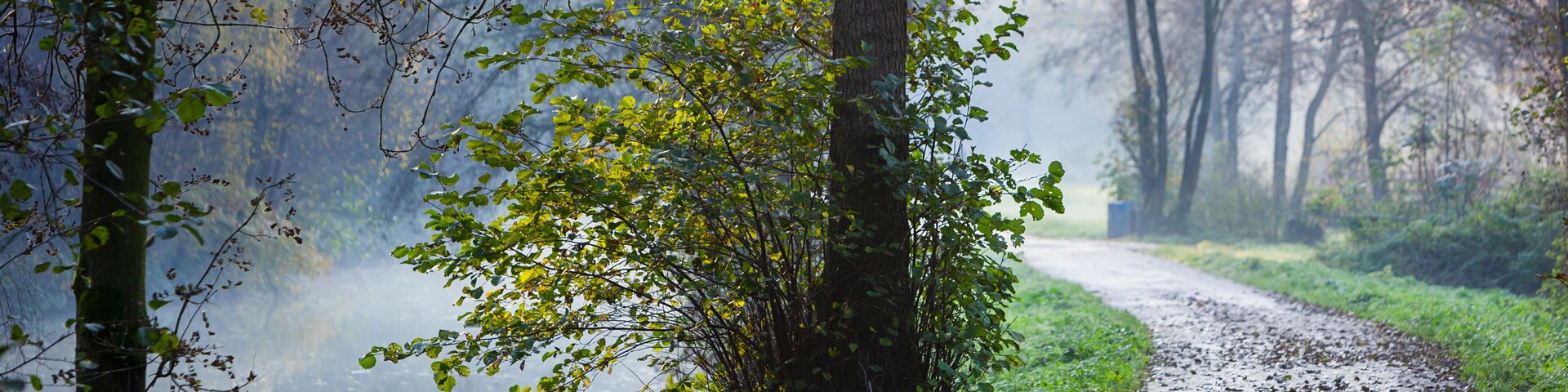 Winding footpath along a small river in autumn