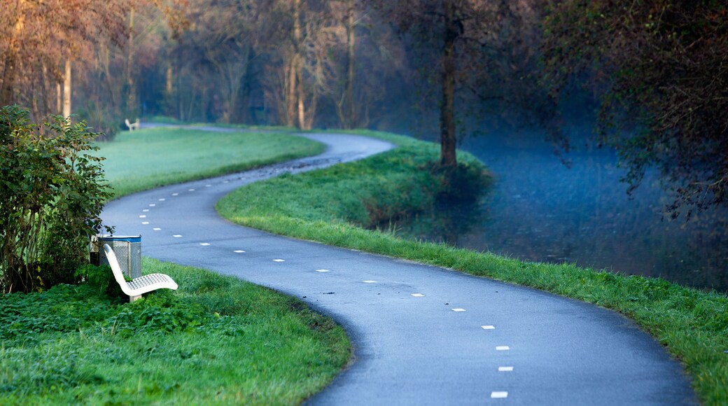 Winding two way bicycle path along a small river in autumn