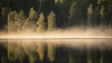 Rising fog in the evening light, lake in the forest, near Sunne, Sweden