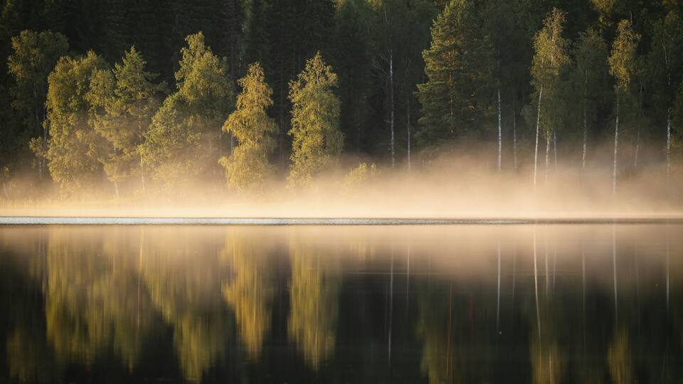 Rising fog in the evening light, lake in the forest, near Sunne, Sweden