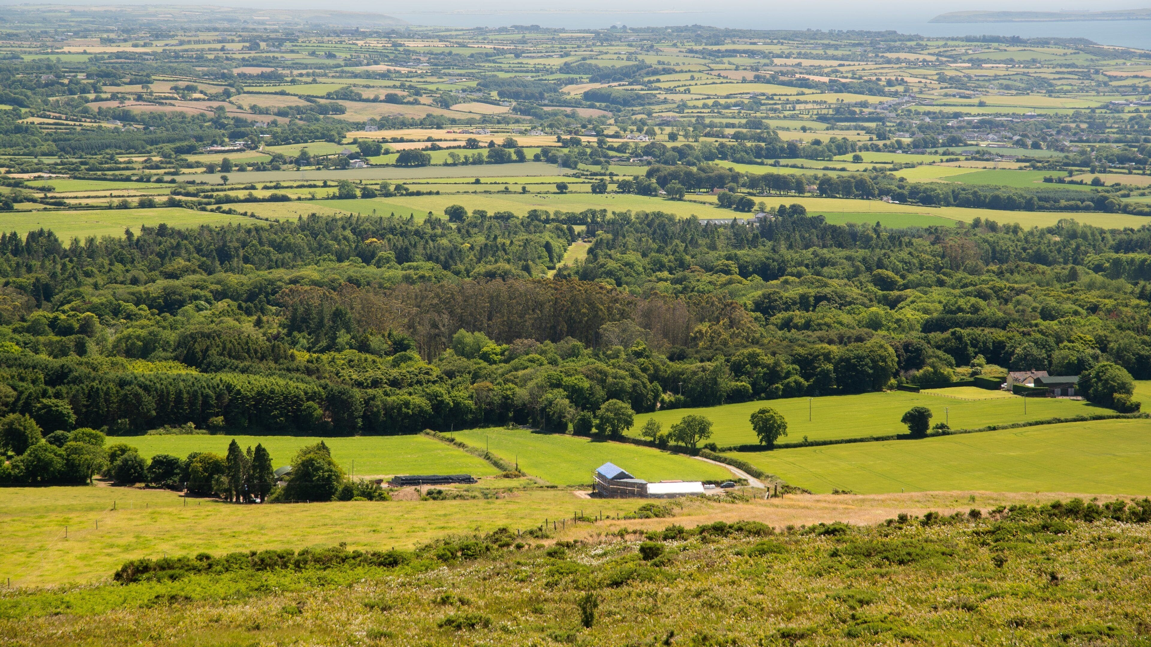 New Ross which includes landscape views and tranquil scenes