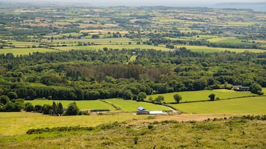New Ross which includes landscape views and tranquil scenes