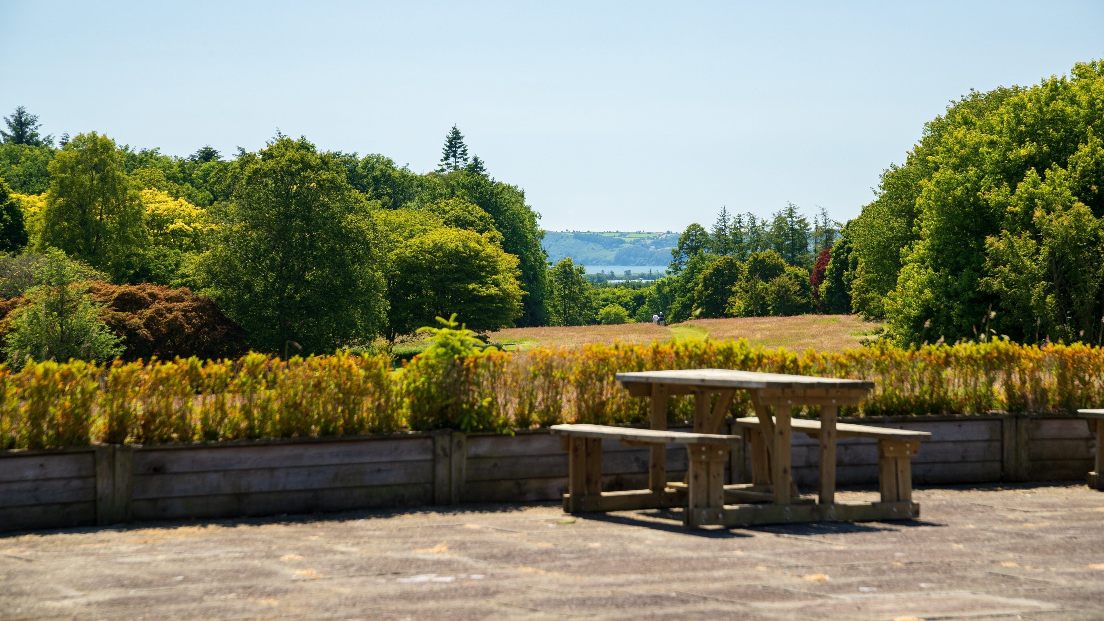 Un área de picnic con bancos de madera y vistas a un paisaje verde exuberante, con árboles y colinas a lo lejos.