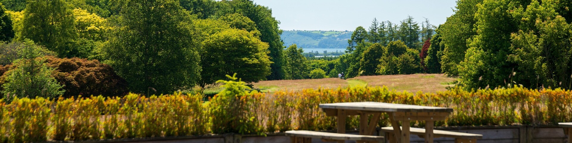 Un área de picnic con bancos de madera y vistas a un paisaje verde exuberante, con árboles y colinas a lo lejos.