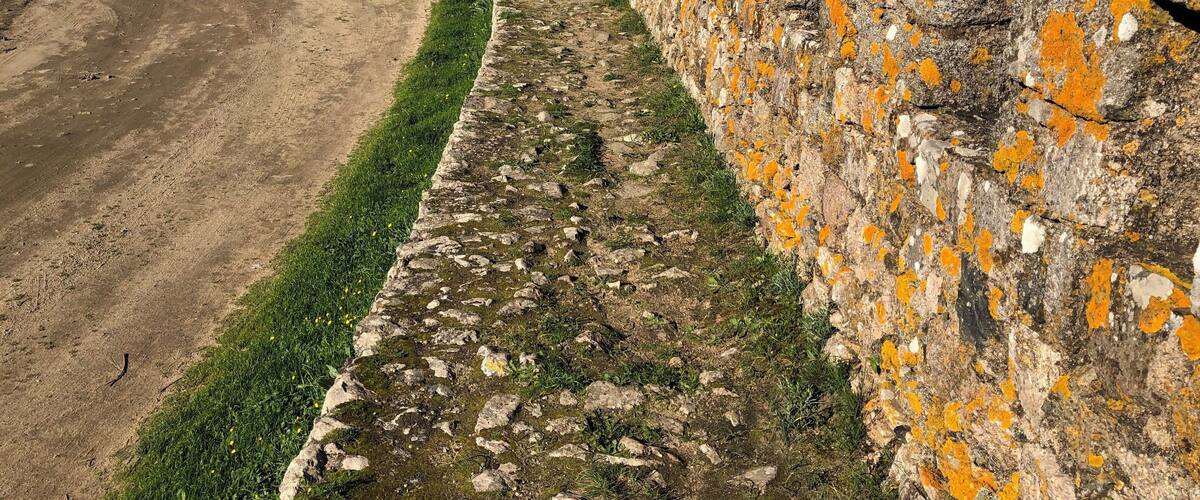 The Castle must be protected at all costs. This beautiful wall went all around the hilltop.