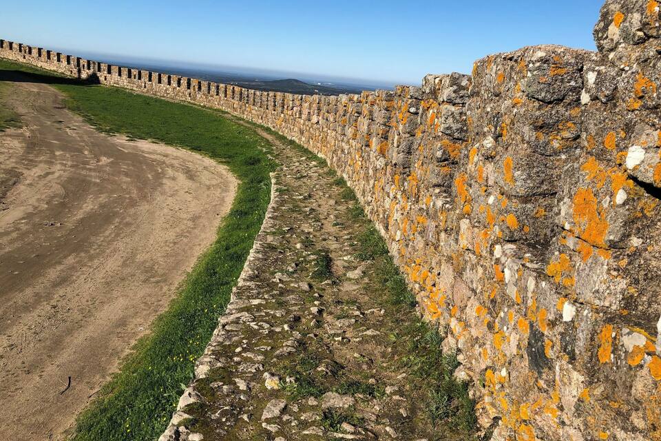 A stone wall with orange lichen, a dirt path, and green grass.