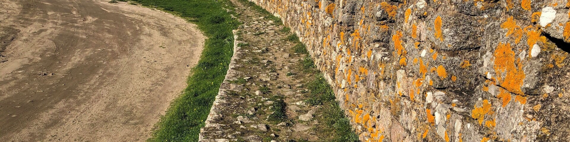 The Castle must be protected at all costs. This beautiful wall went all around the hilltop.
