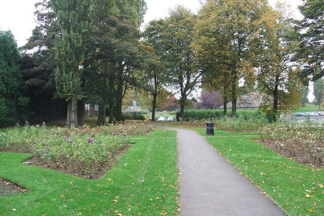 Last of the Roses, Miners Welfare Park, Bedworth Although autumn has well and truly arrived, there are still plenty of beautiful roses in flower.