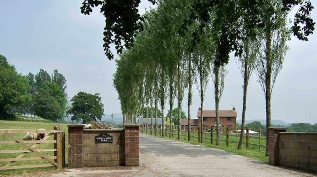 Gwaun Wen Farm, Hensol