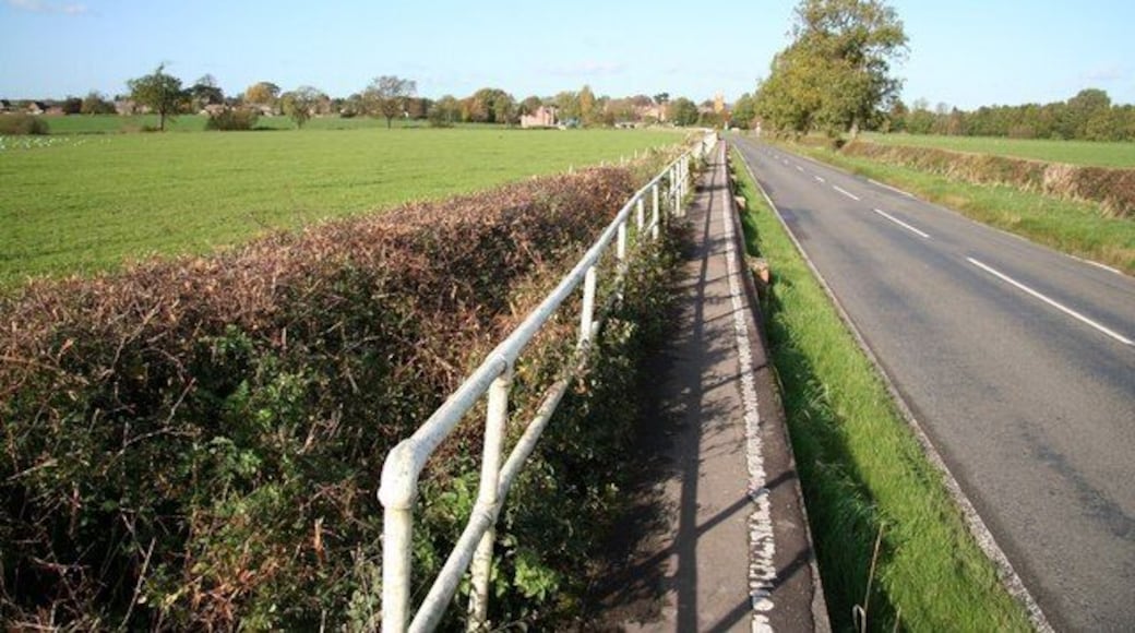 Rearsby causeway. Pedestrian causeway beside Rearsby Road for when the River Wreake floods 1008274